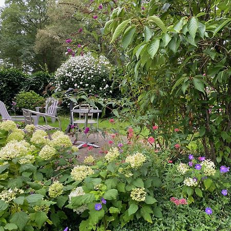 De Viersprong Bed & Breakfast Laren  Eksteriør bilde